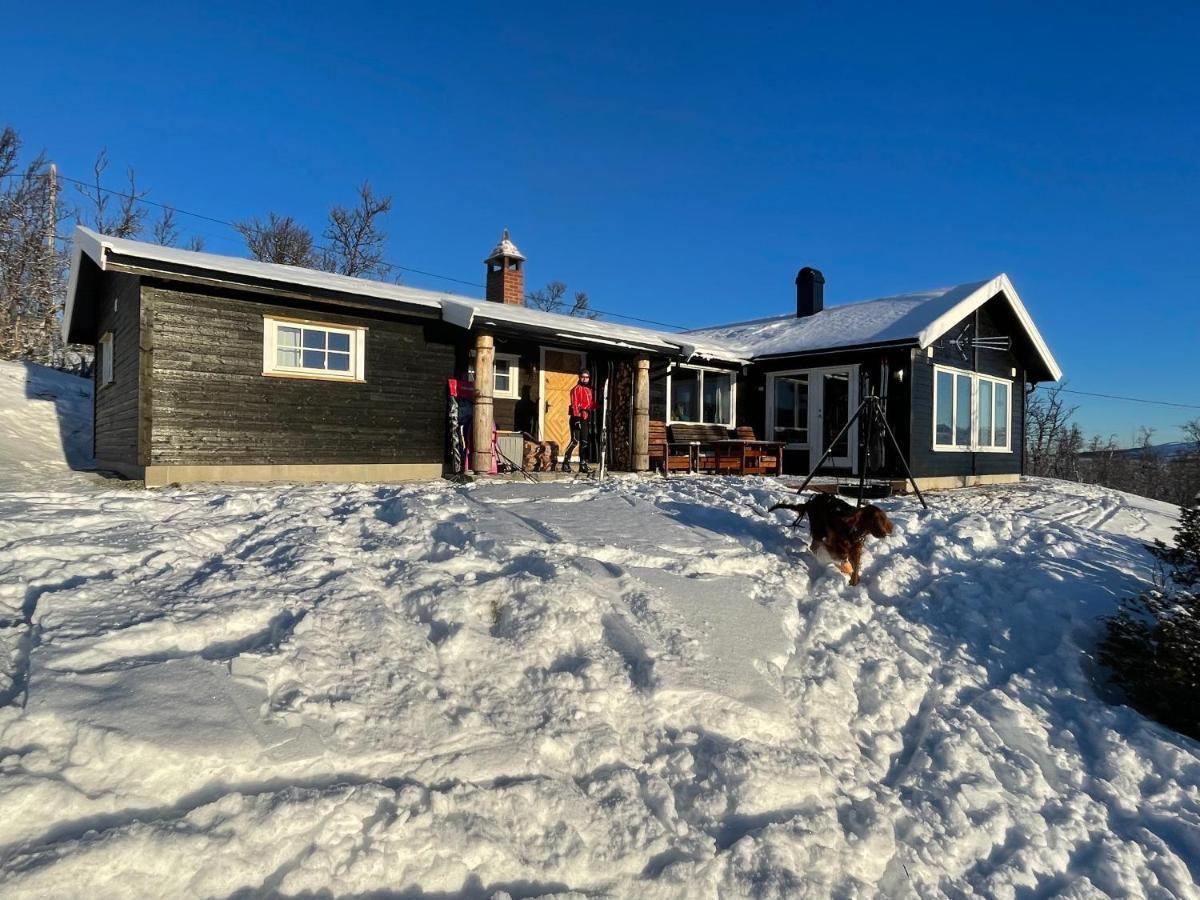 Torsetåsen 34 Villa Uvdal Exteriör bild